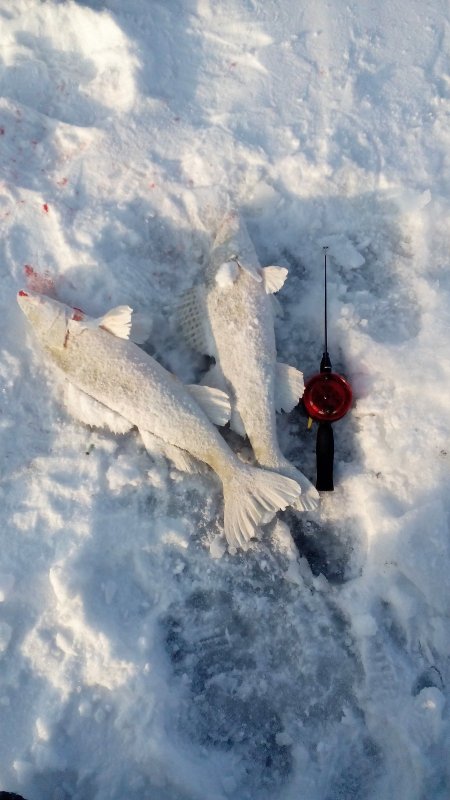 Двое из ларца одинаковых с лица