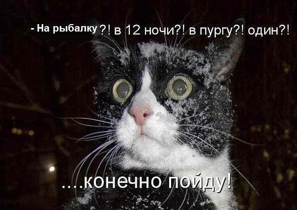Завтра на рыбалку