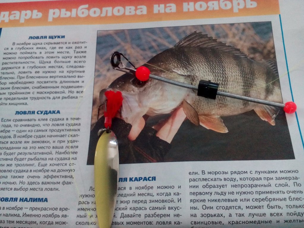 Модернизация пружинки.