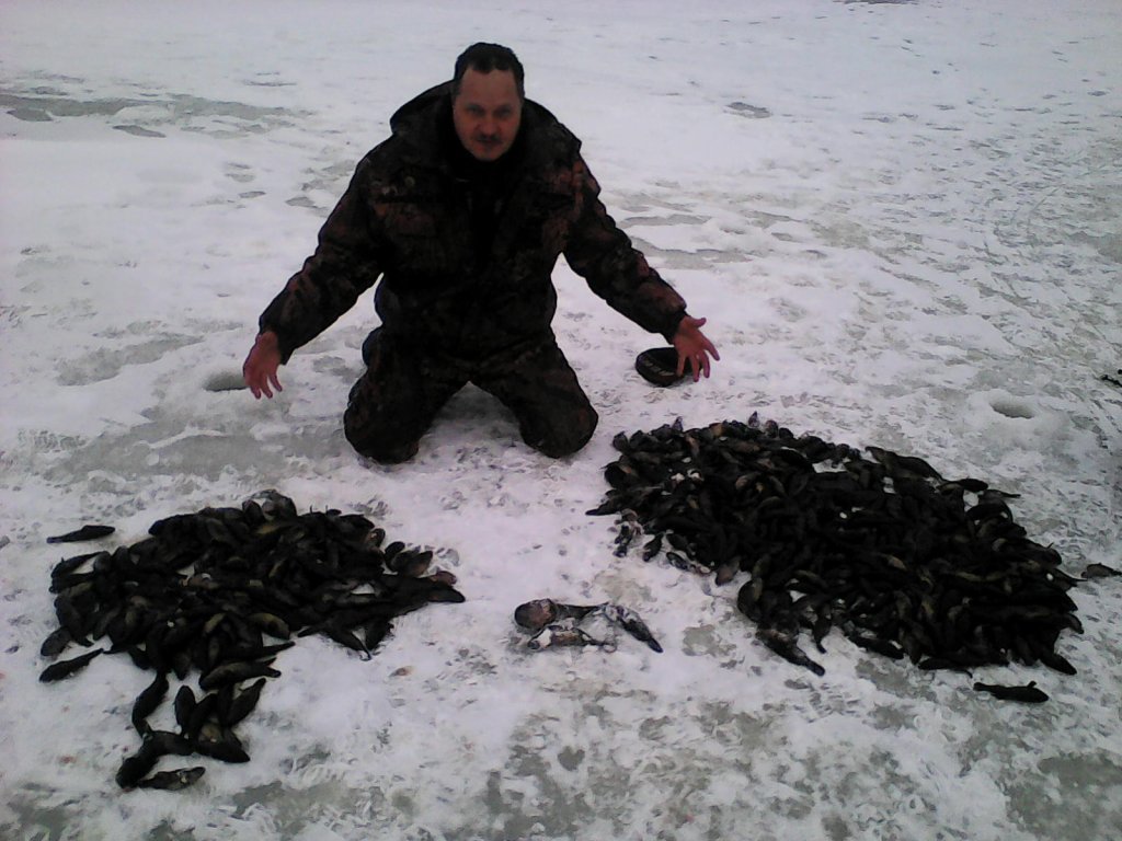 ротаны