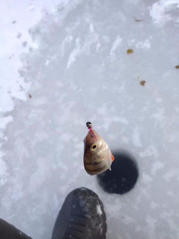 Мелочь но приятно)