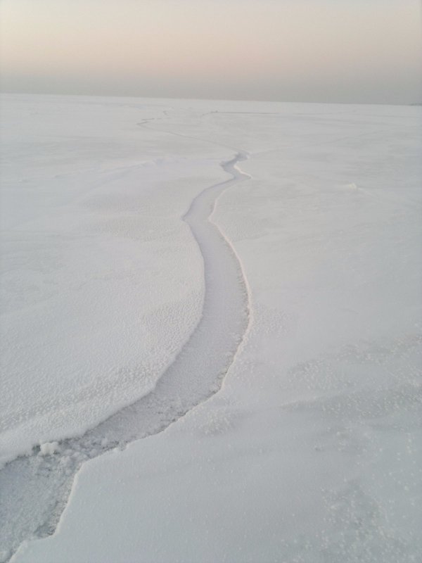 Первый выход на лед   в новом сезоне