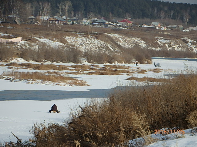Мотково