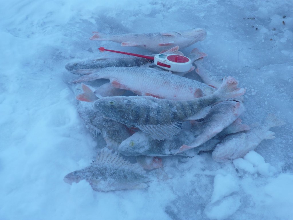 на Береговой.