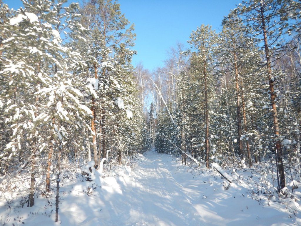 сибирские красоты
