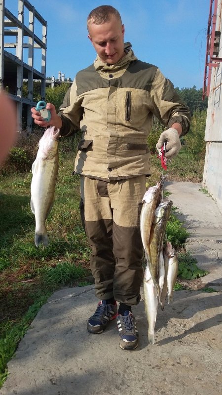 Клыкастые