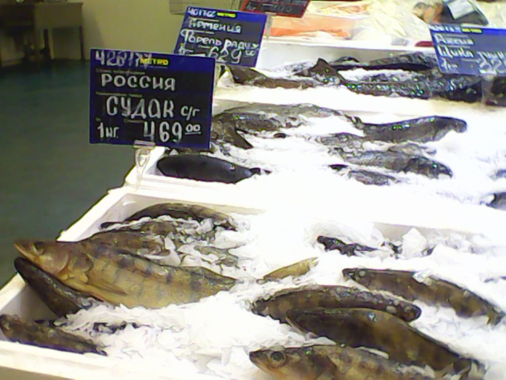 судак цена1