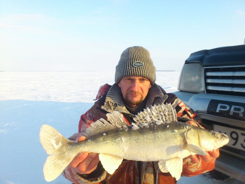 морской волк Киров.