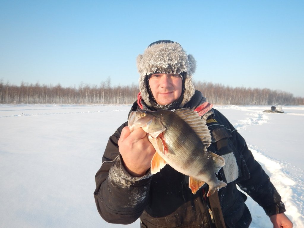 на балансир