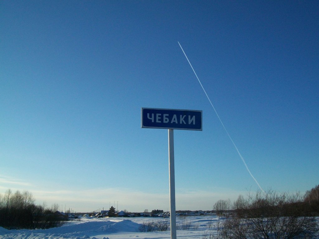 чебаки
