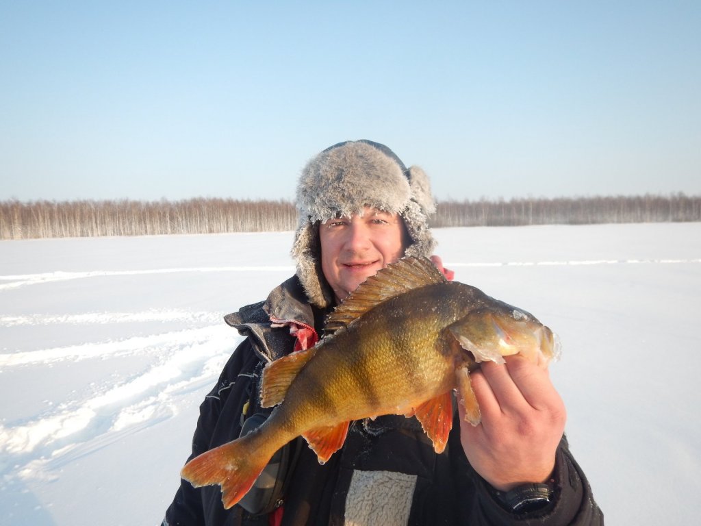 на мормышку