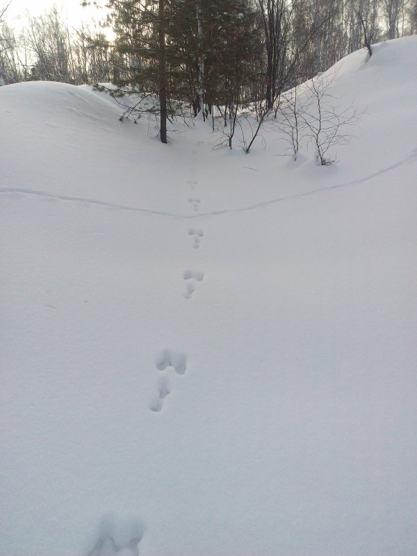 по дороге к берегу