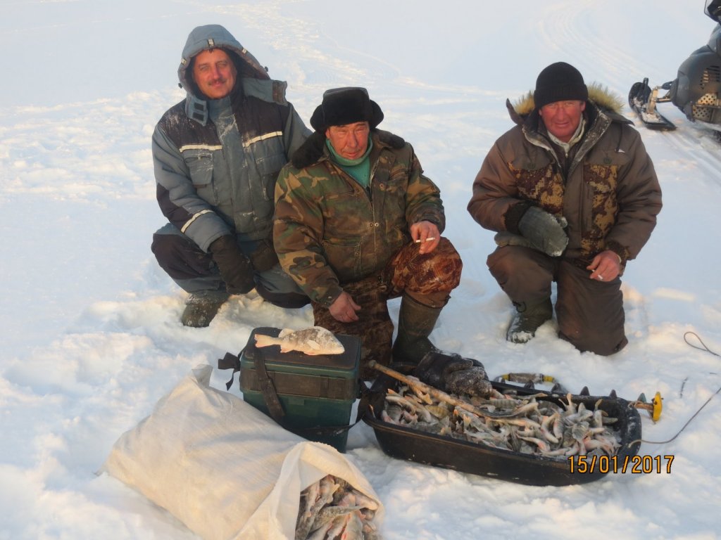 окунь