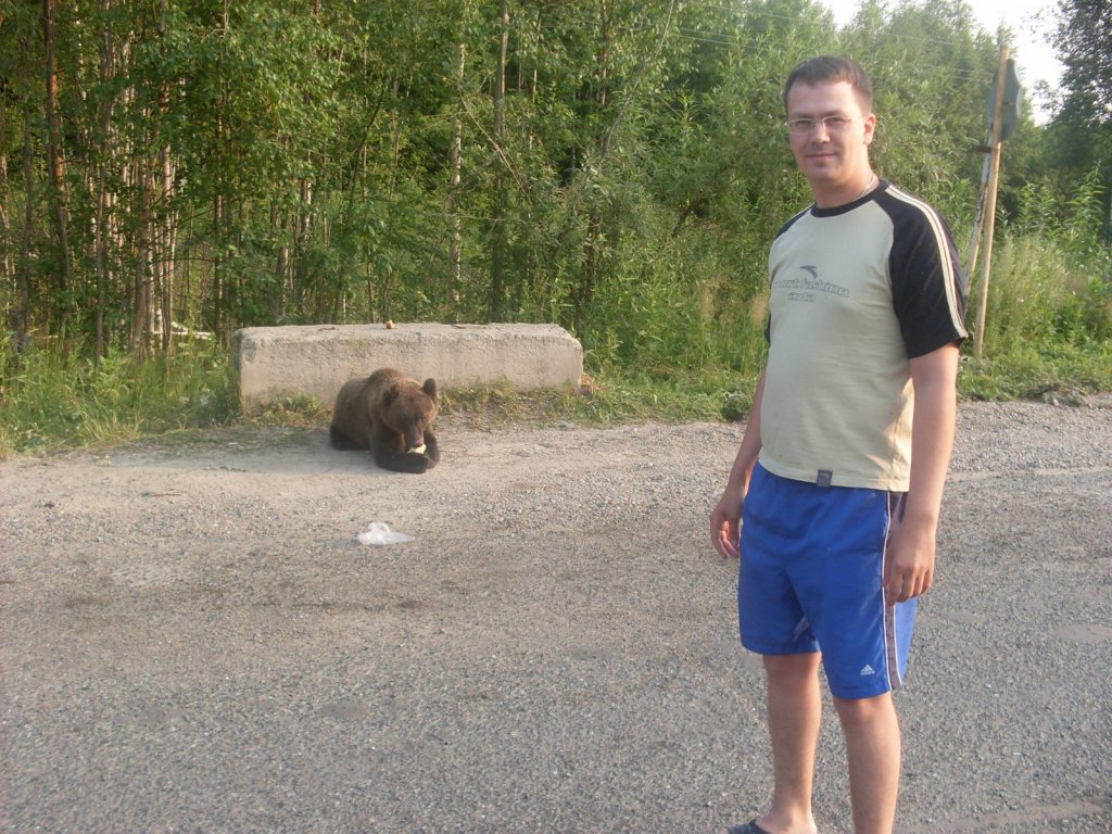 Мой личный опыт в общении с диким медведем...