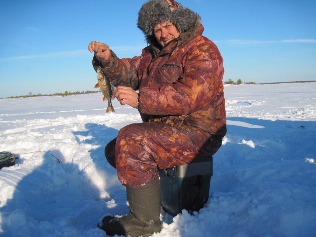 Ловись рыбка