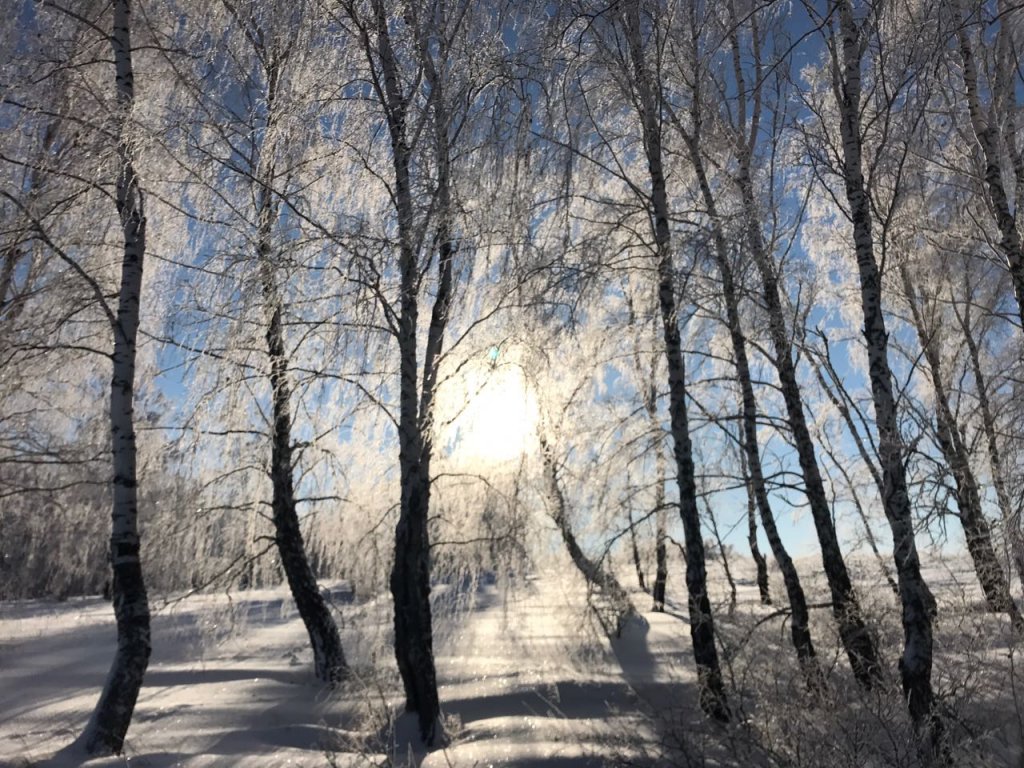 Солнечный остров ОВХ