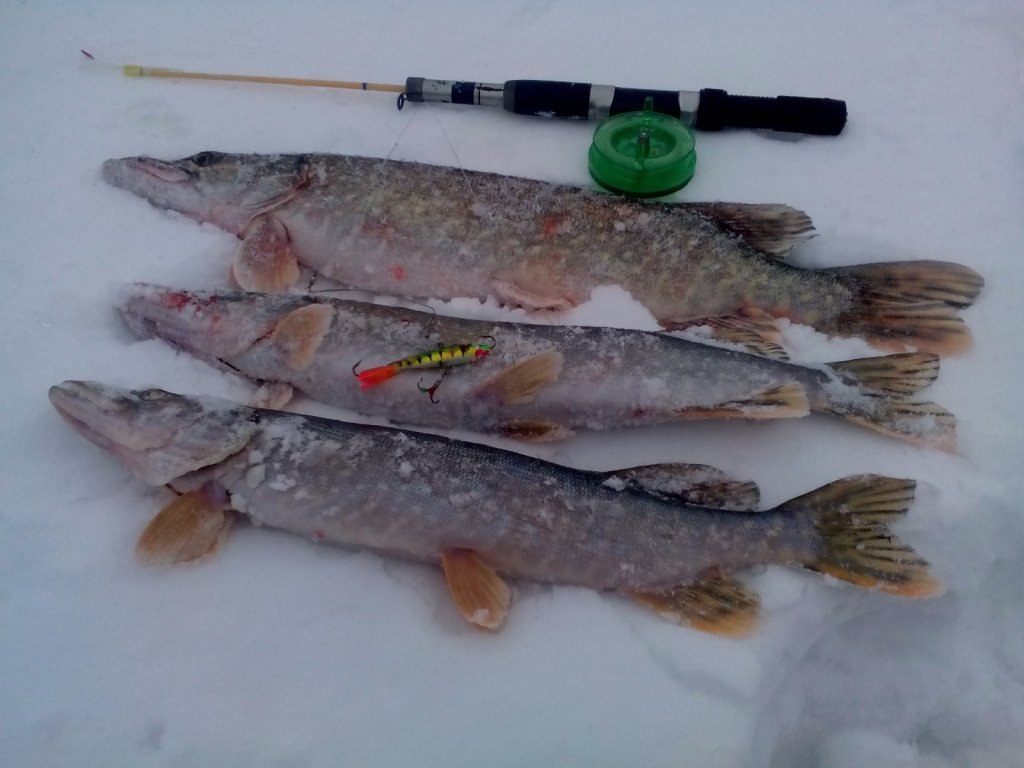 Малые реки. Колыванский район. 26.02.17г.