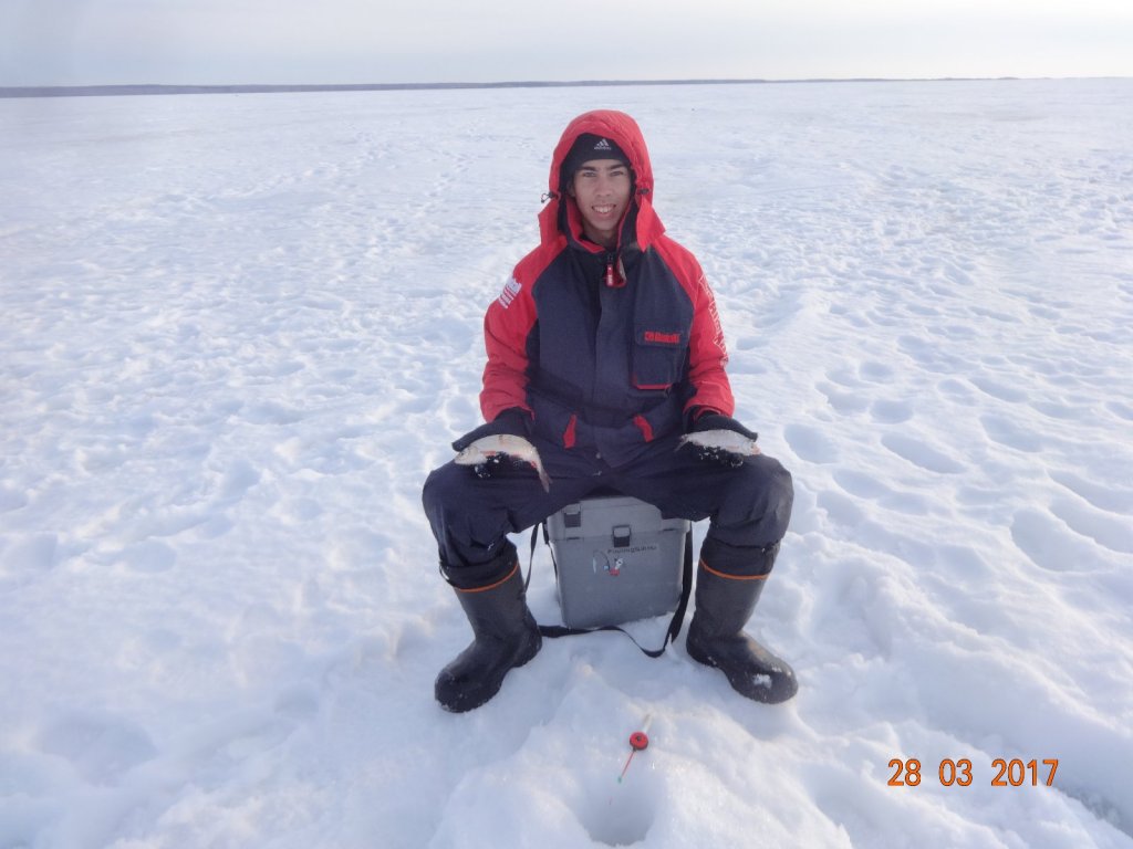 Морской подъязок и сорожка.