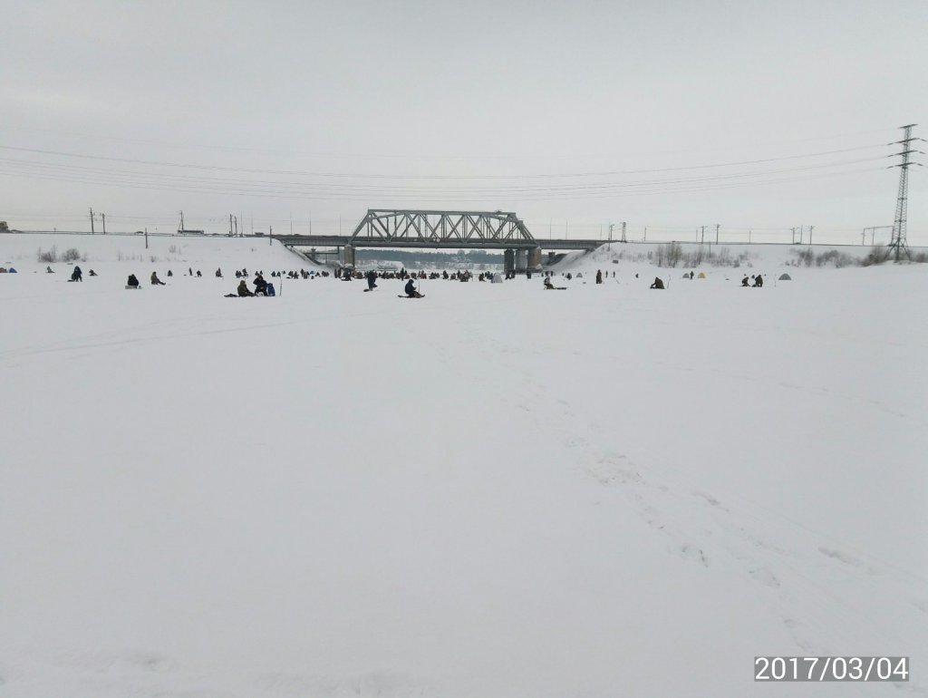 у Бердского моста.