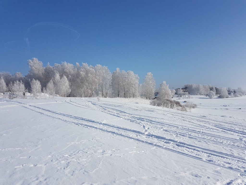 Снежное царство