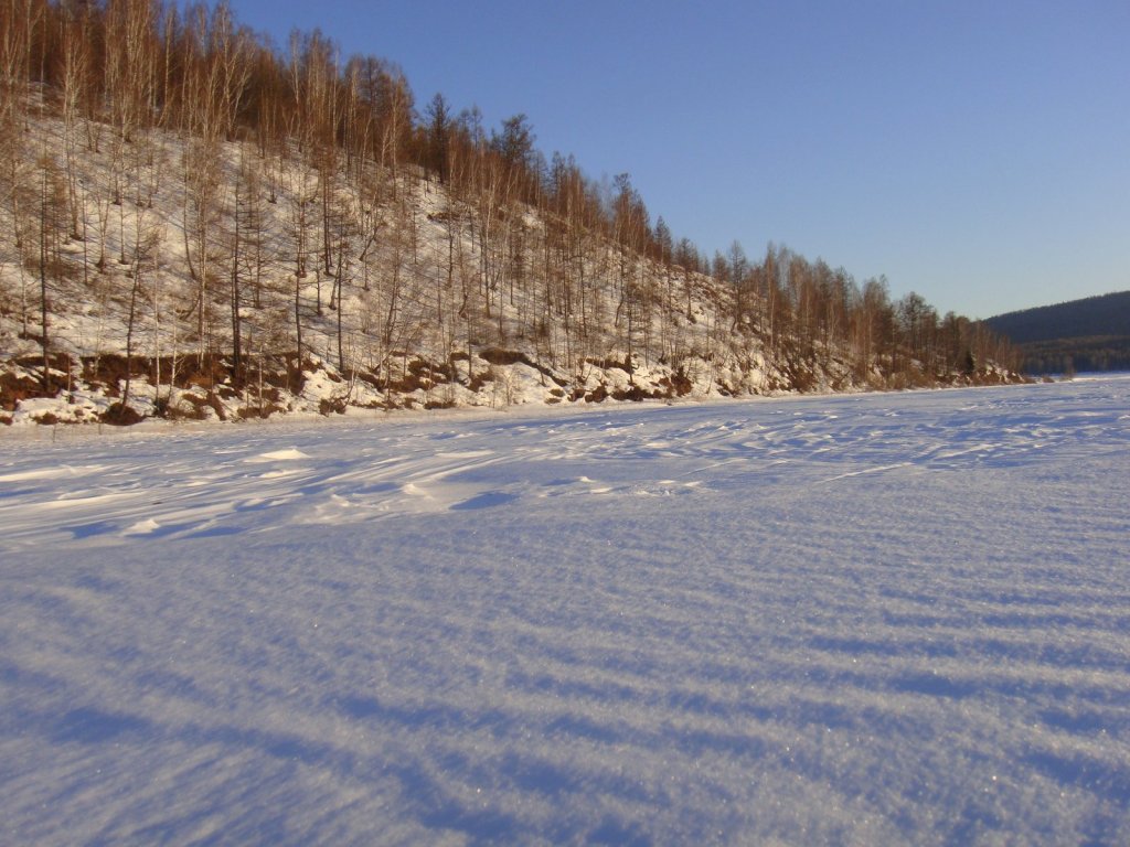 Сарбаголь