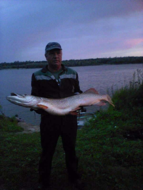 Ловец щук.