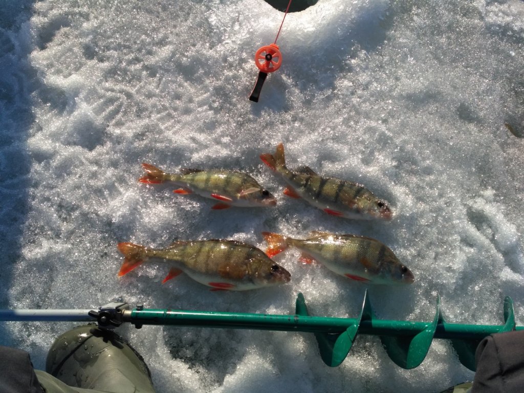 Красный яр 13.04.17г.