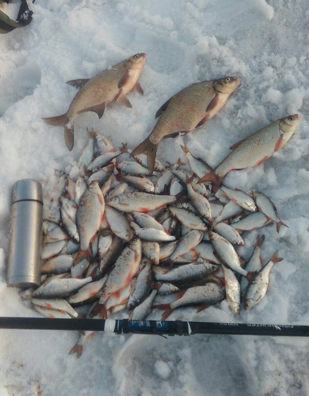 Удачное открытие сезона