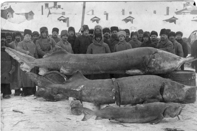 "Раньше были времена, а сейчас мгновения..."