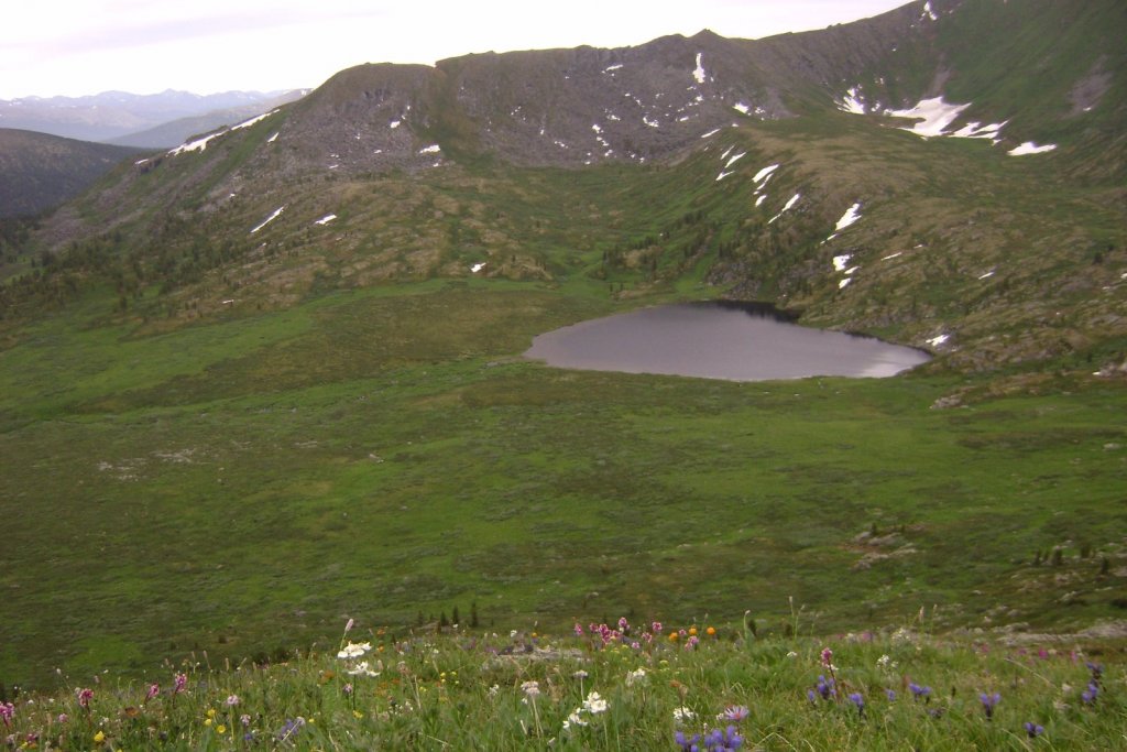 самбыл ё1