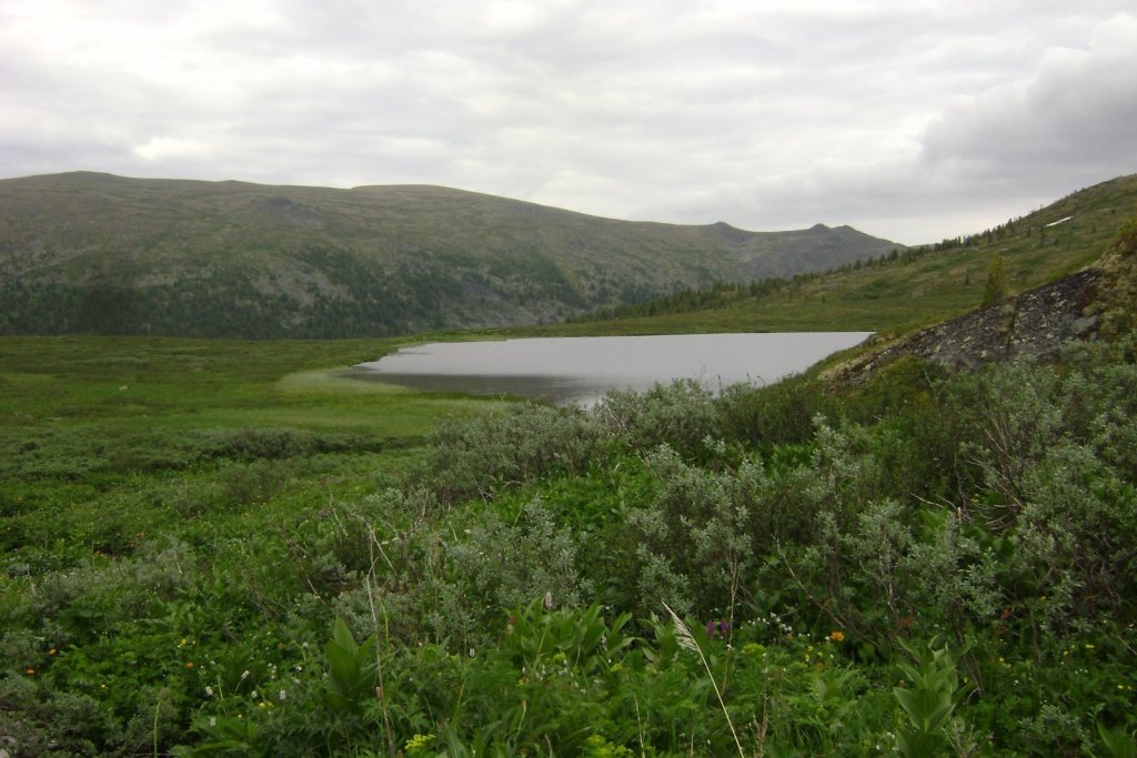 самбыл