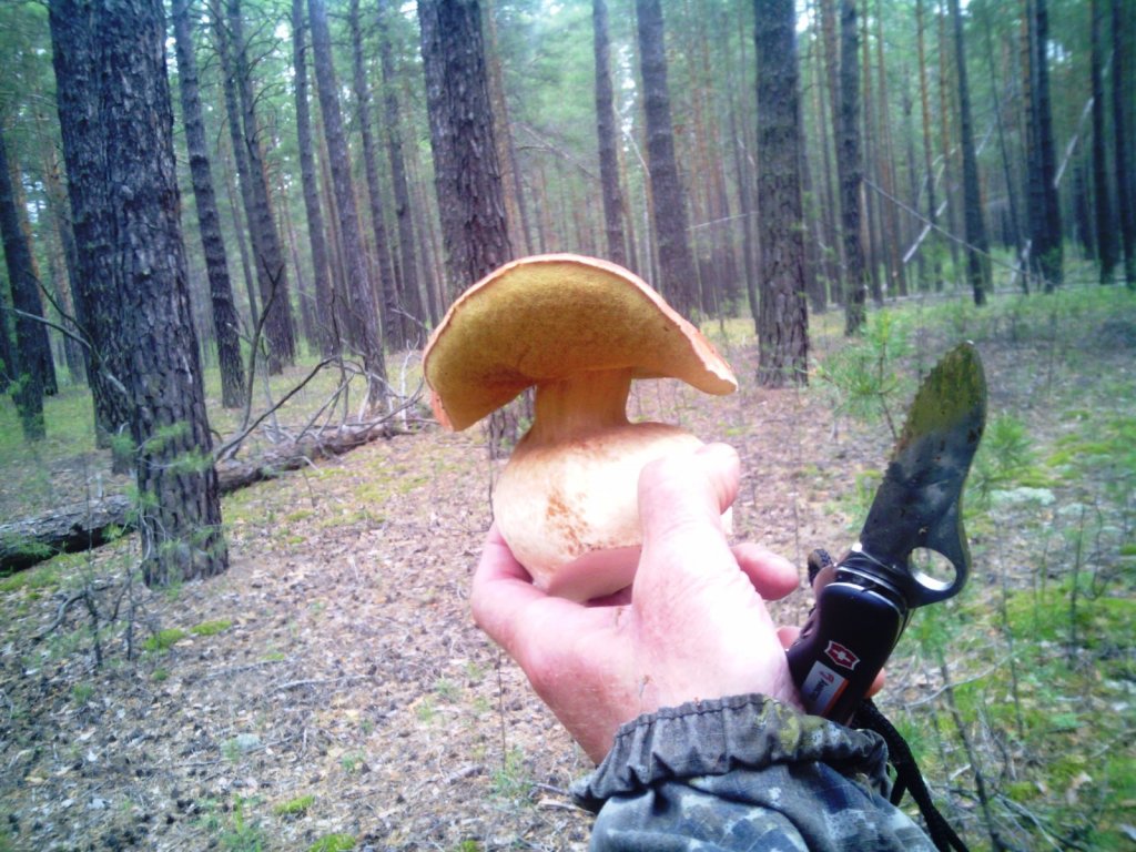 выпендрежник