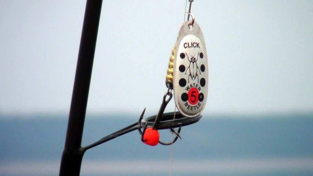Сага о "Water Beetle"