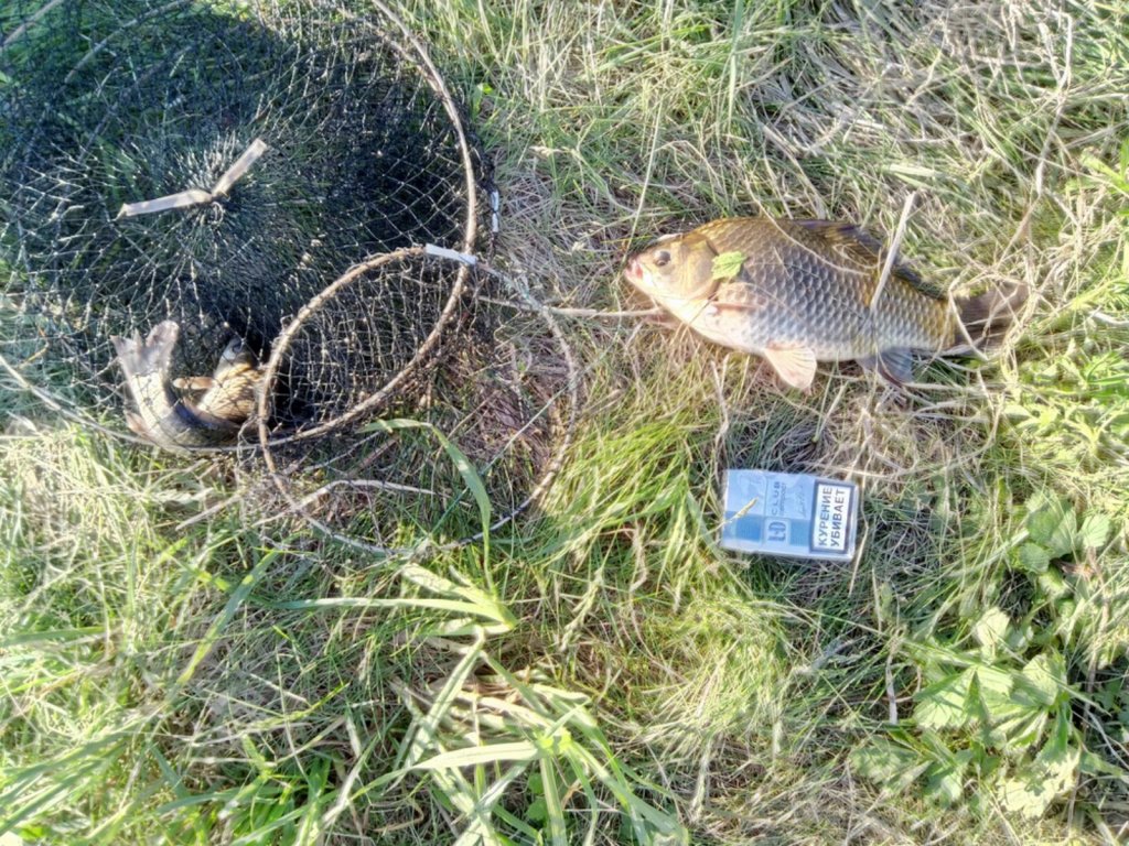 Качимовка