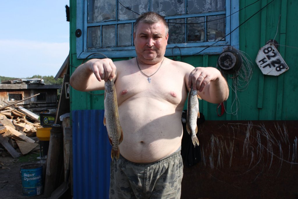 Щуки.