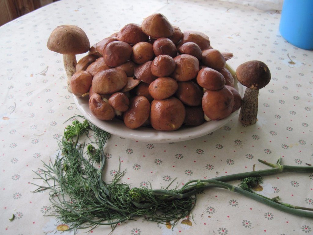 На сковороду готовы