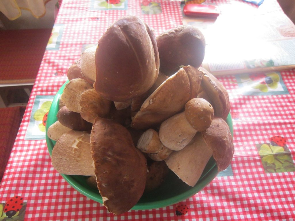 Беляки