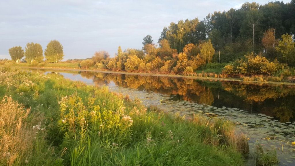 Озерные зарисовки 4