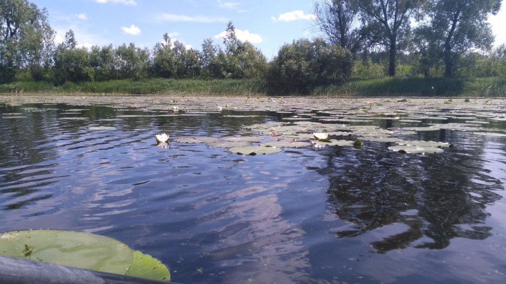 Озерные зарисовки