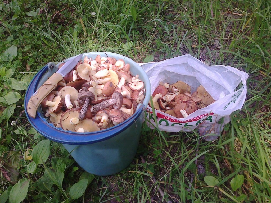 По дороге на "Ягодную"....
