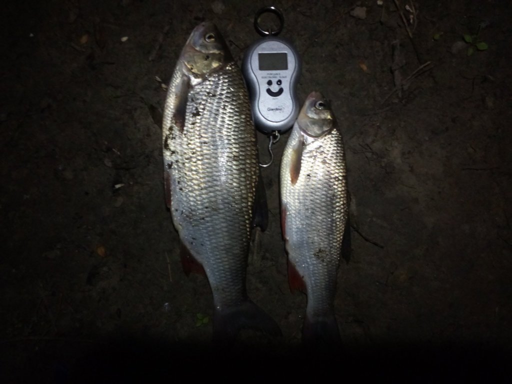 28.07 Иня. Весенний 1:00