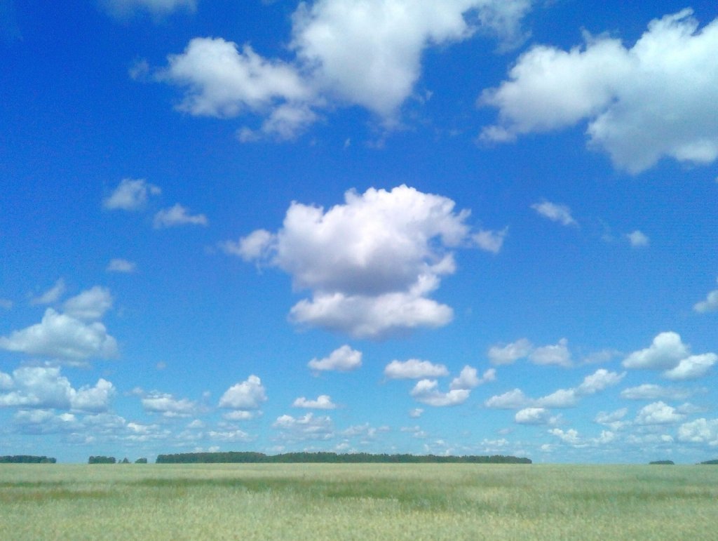 По дороге на рыбалку)