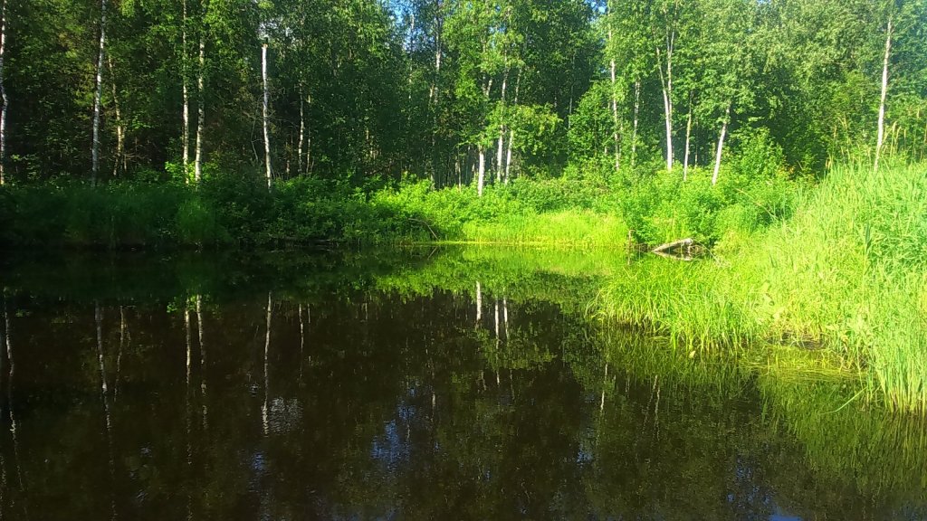 Икса, верховья.