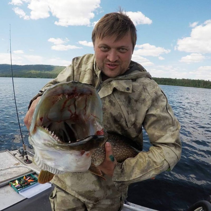 Забагоренная зубастая на шесть кило.
