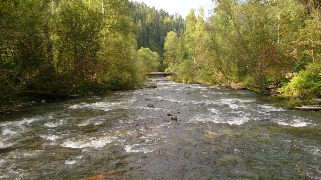 Самыш