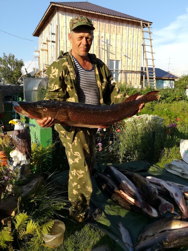 Трофей из Томских областей