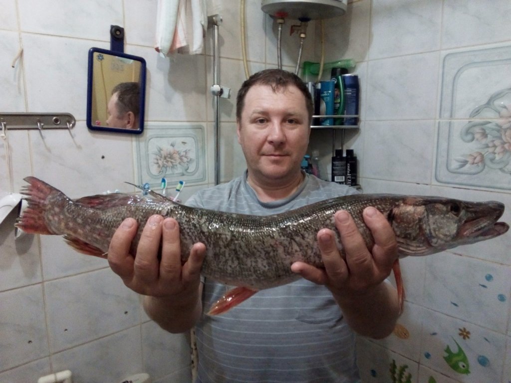 Мой первый трофей 2 кг.