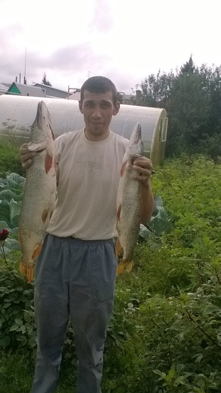 четверка и двушка