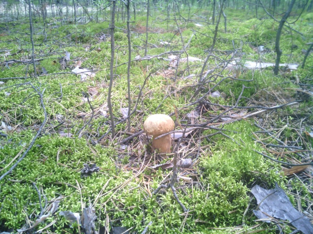 Каракан радует 2