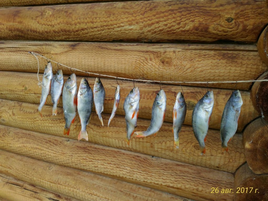 ЗагораюТ